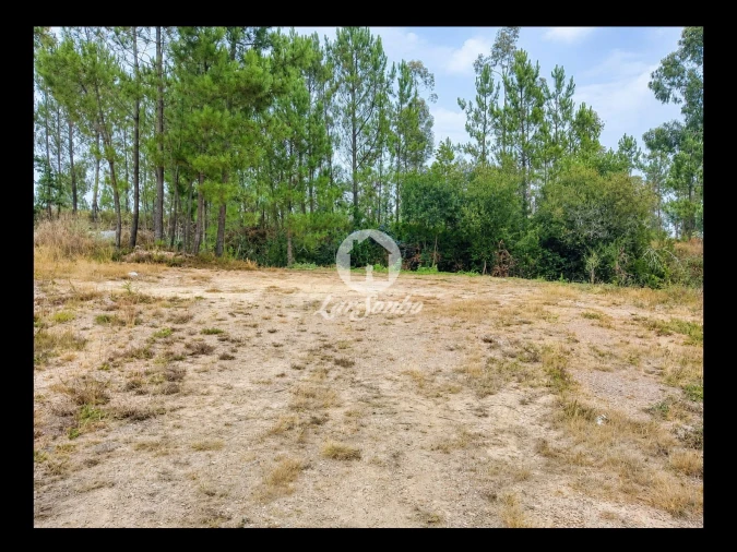 Terreno para Venda em Cervães Foto 14