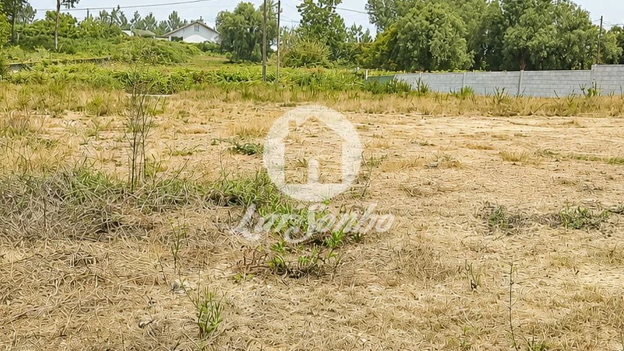 Terreno para Venda em Cervães