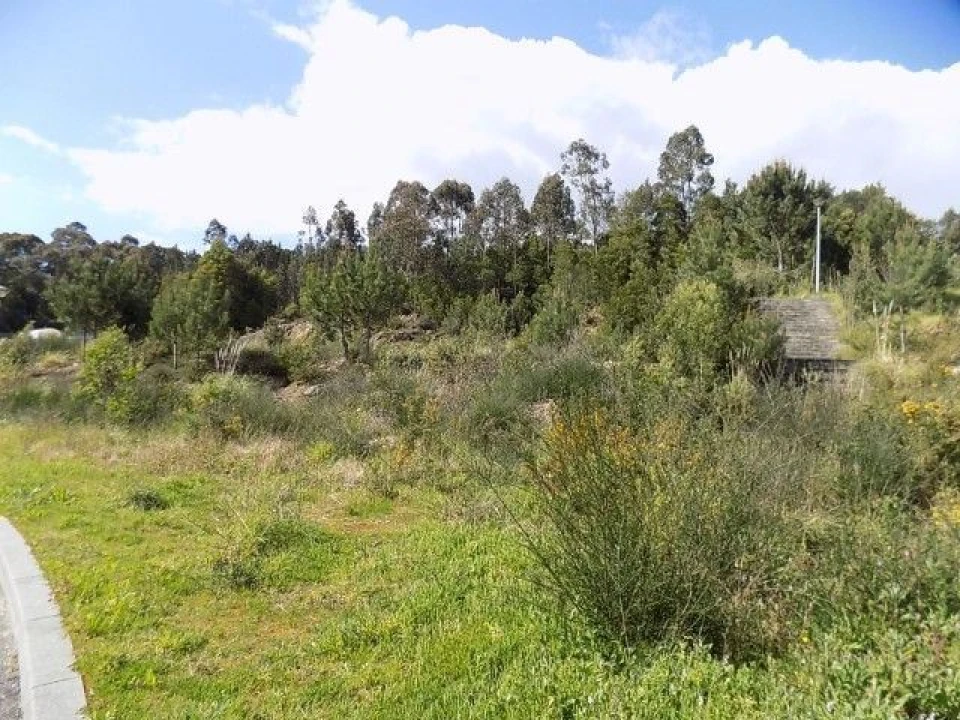 Terreno para Venda em Mozelos Foto 4