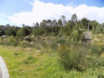 Terreno para Venda em Mozelos