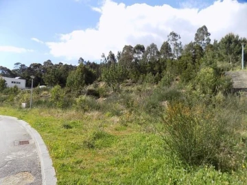 Terreno para Venda em Mozelos