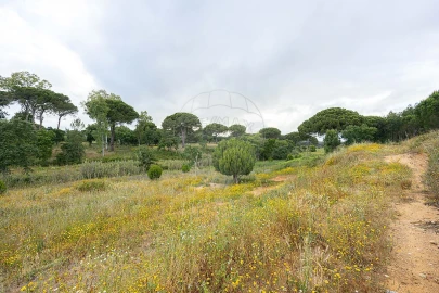 Terreno para Venda em Ota