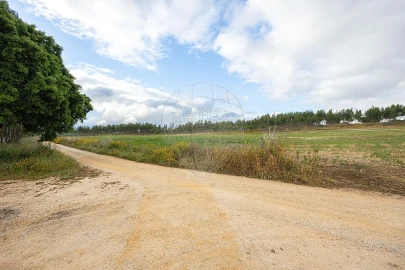 Terreno para Venda em Ota