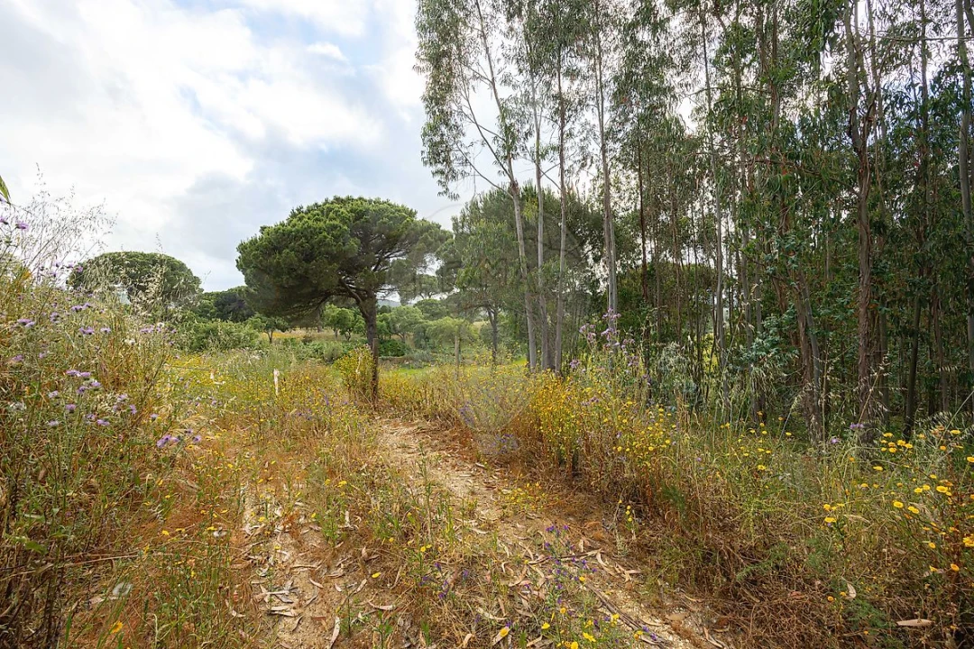 Terreno para Venda em Ota Foto 5