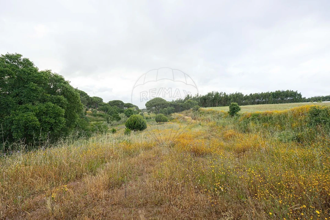 Terreno para Venda em Ota Foto 4