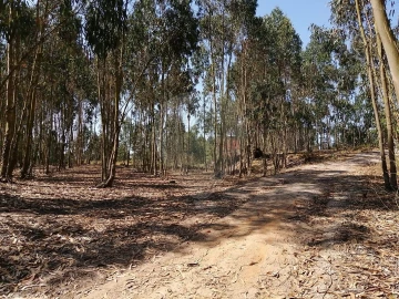 Terreno para Venda em Ponte do Rol