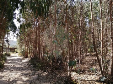 Terreno para Venda em Ponte do Rol