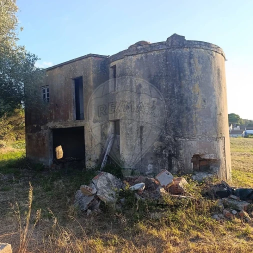 Negócio para Venda em Moita dos Ferreiros Foto 5