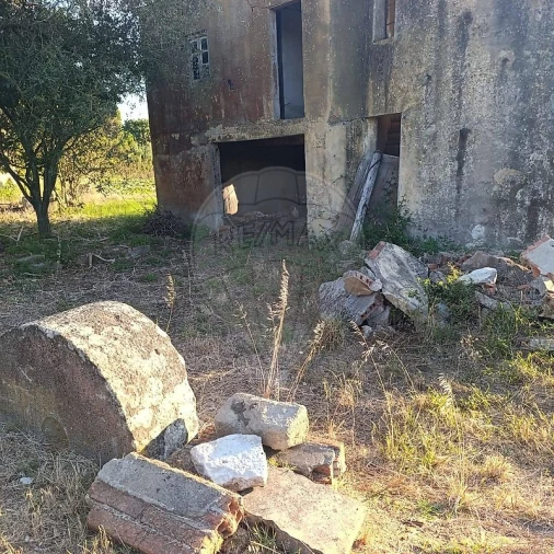 Negócio para Venda em Moita dos Ferreiros Foto 7