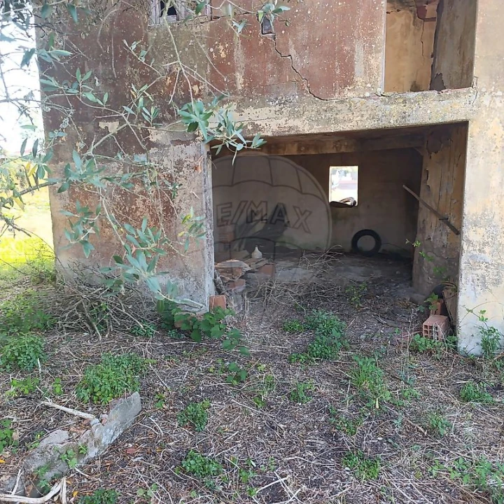 Negócio para Venda em Moita dos Ferreiros Foto 6