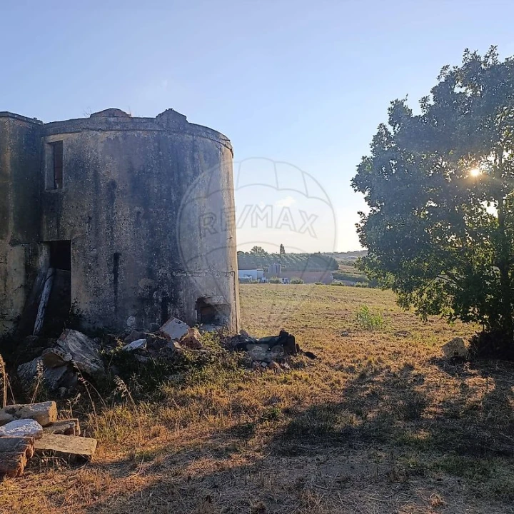 Negócio para Venda em Moita dos Ferreiros Foto 1