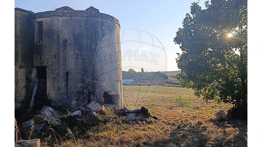 Negócio para Venda em Moita dos Ferreiros