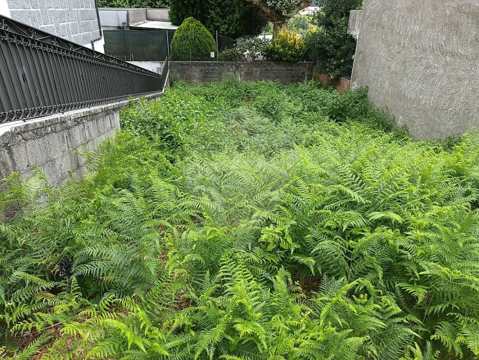 Terreno para Venda em Fânzeres e São Pedro da Cova Foto 2