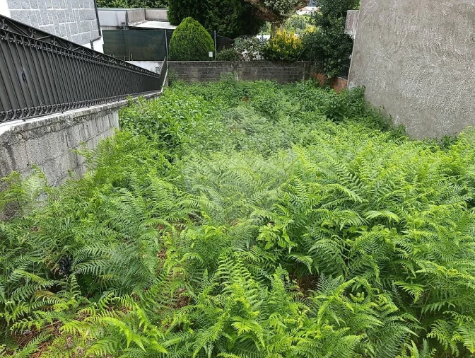 Terreno para Venda em Fânzeres e São Pedro da Cova Foto 2