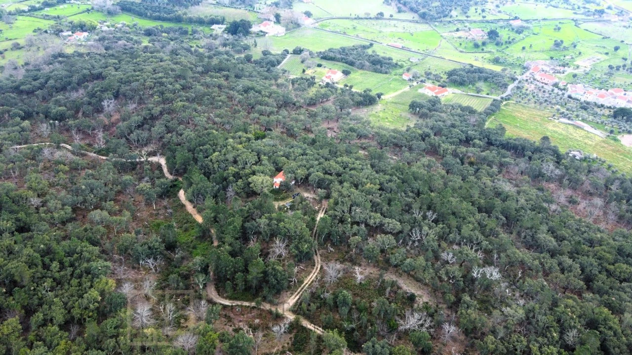 Terreno Agricola ou Rústico para Venda em Reguengo e São Julião Foto 2