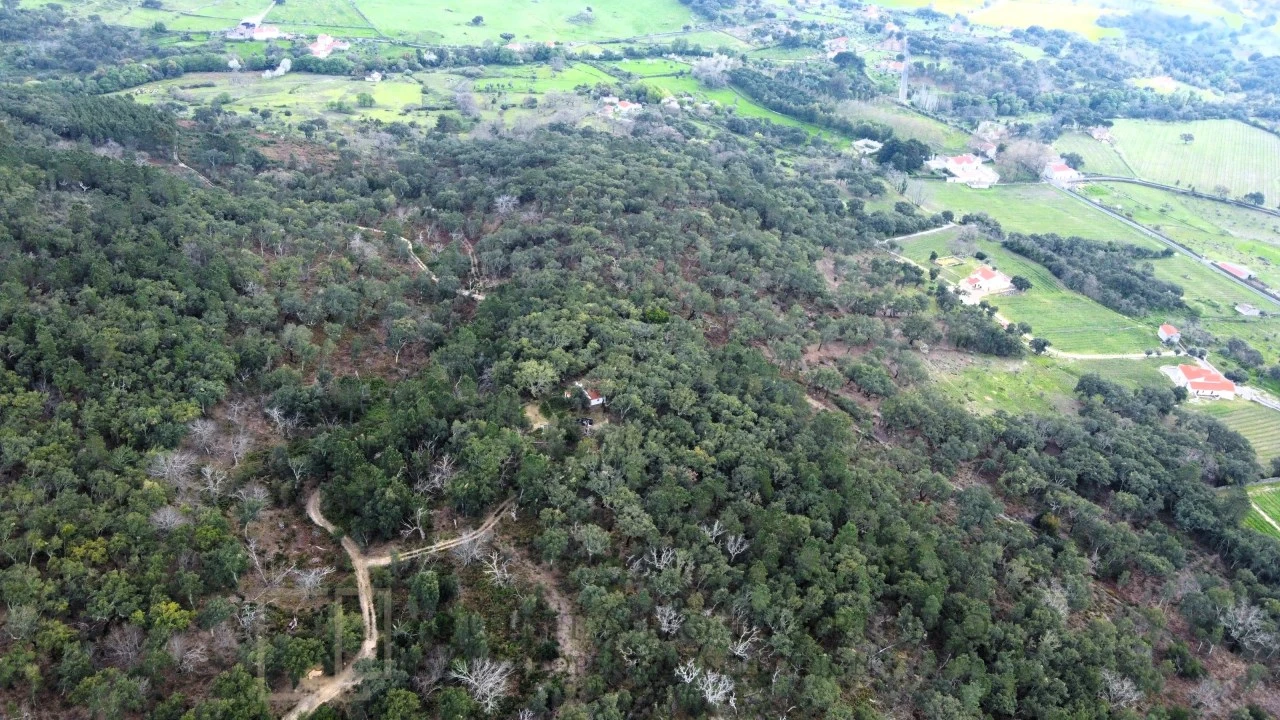 Terreno Agricola ou Rústico para Venda em Reguengo e São Julião Foto 16
