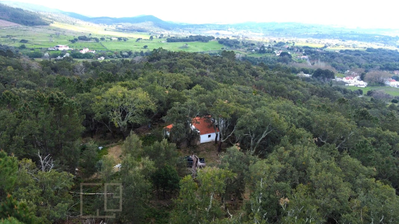 Terreno Agricola ou Rústico para Venda em Reguengo e São Julião Foto 17