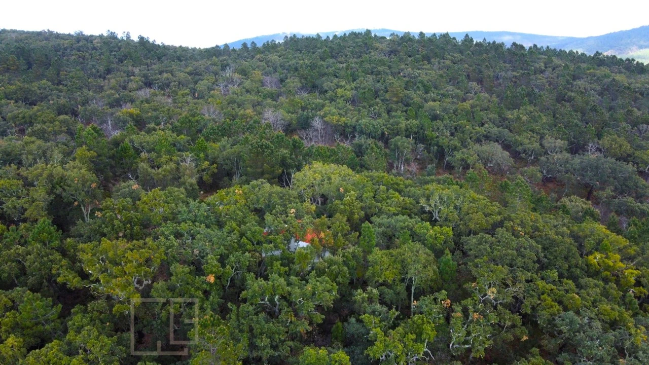 Terreno Agricola ou Rústico para Venda em Reguengo e São Julião Foto 18