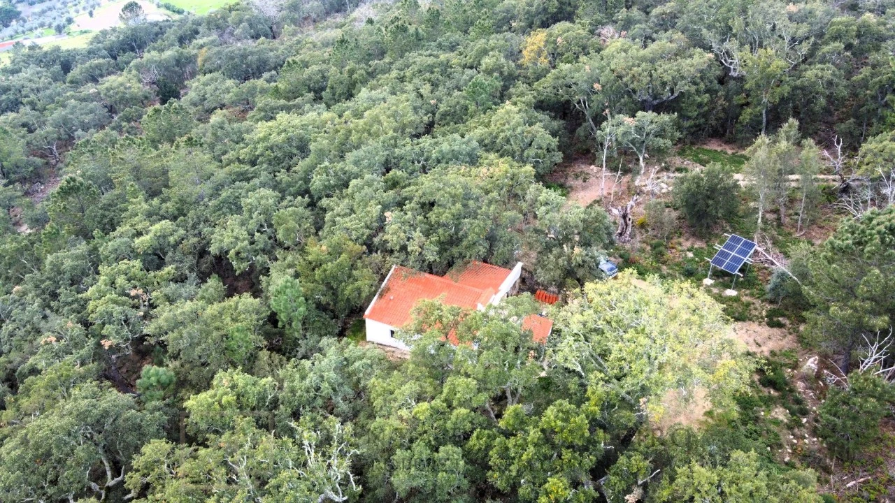 Terreno Agricola ou Rústico para Venda em Reguengo e São Julião Foto 19