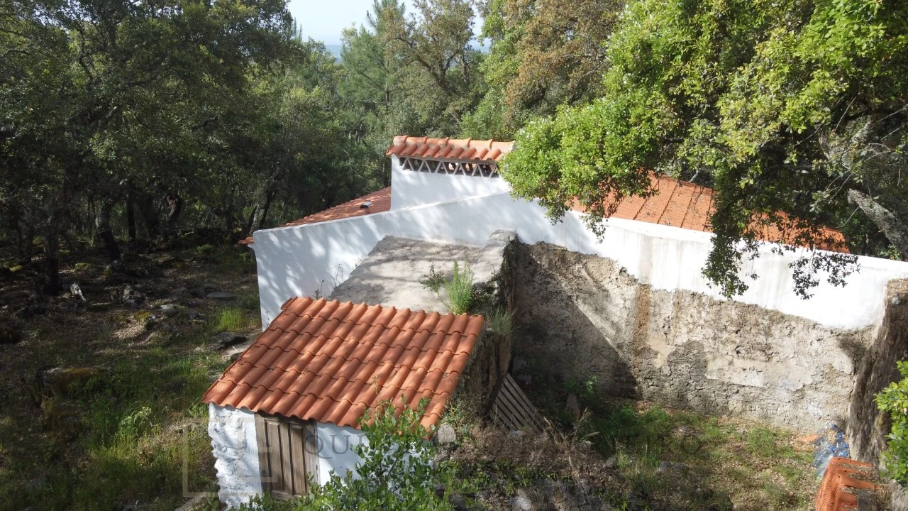 Terreno Agricola ou Rústico para Venda em Reguengo e São Julião Foto 20