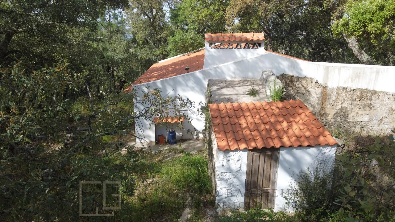 Terreno Agricola ou Rústico para Venda em Reguengo e São Julião Foto 21