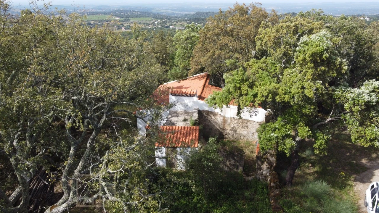 Terreno Agricola ou Rústico para Venda em Reguengo e São Julião Foto 24