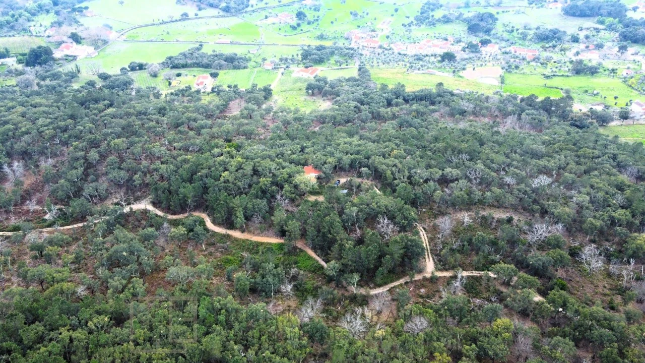 Terreno Agricola ou Rústico para Venda em Reguengo e São Julião Foto 1