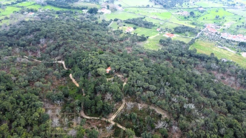 Terreno Agricola ou Rústico para Venda em Reguengo e São Julião