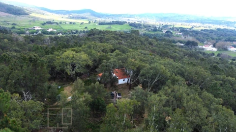 Terreno Agricola ou Rústico para Venda em Reguengo e São Julião
