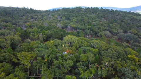 Terreno Agricola ou Rústico para Venda em Reguengo e São Julião