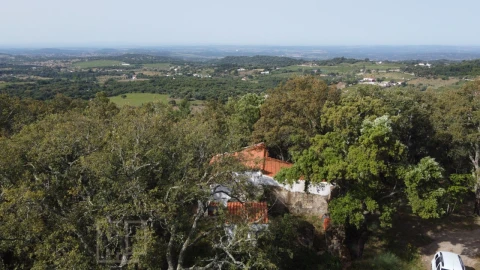 Terreno Agricola ou Rústico para Venda em Reguengo e São Julião