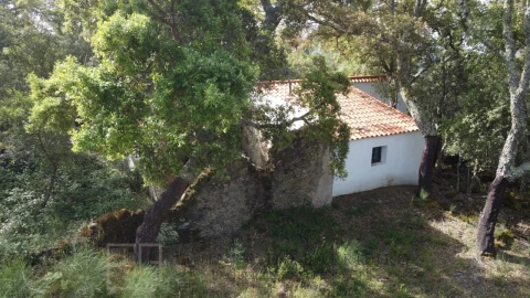 Terreno Agricola ou Rústico para Venda em Reguengo e São Julião