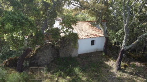 Terreno Agricola ou Rústico para Venda em Reguengo e São Julião
