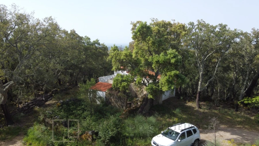 Terreno Agricola ou Rústico para Venda em Reguengo e São Julião Foto 23