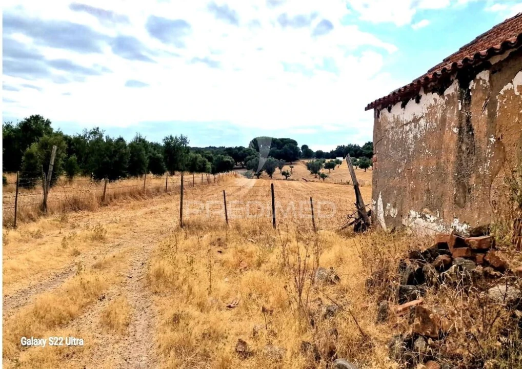 Terreno para Venda em Torrão Foto 5