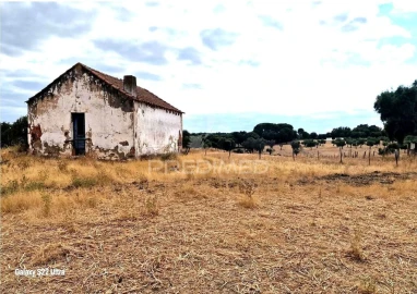 Terreno para Venda em Torrão