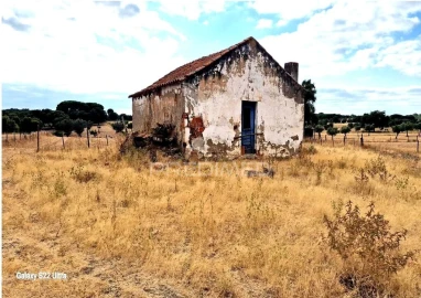 Terreno para Venda em Torrão