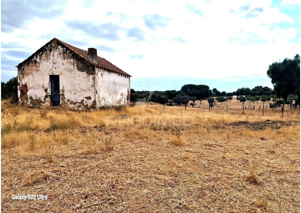 Terreno para Venda em Torrão Foto 3