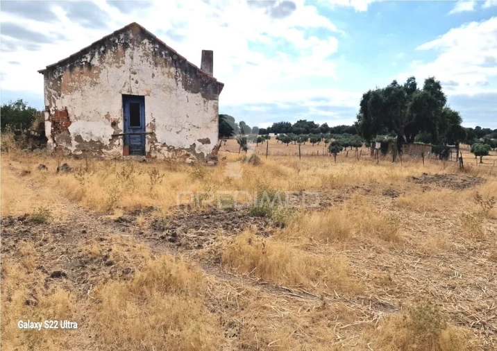 Terreno para Venda em Torrão Foto 2