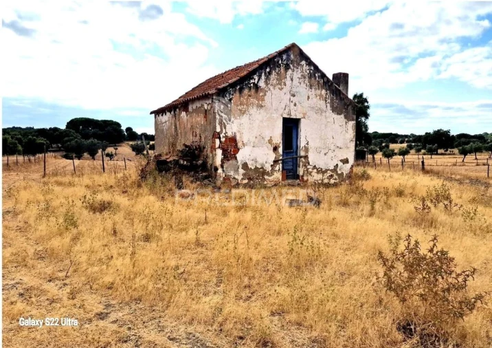 Terreno para Venda em Torrão Foto 4