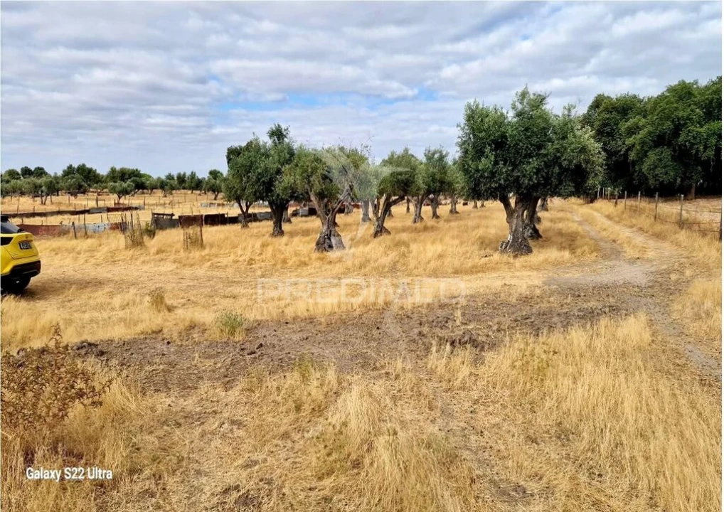 Terreno para Venda em Torrão Foto 11