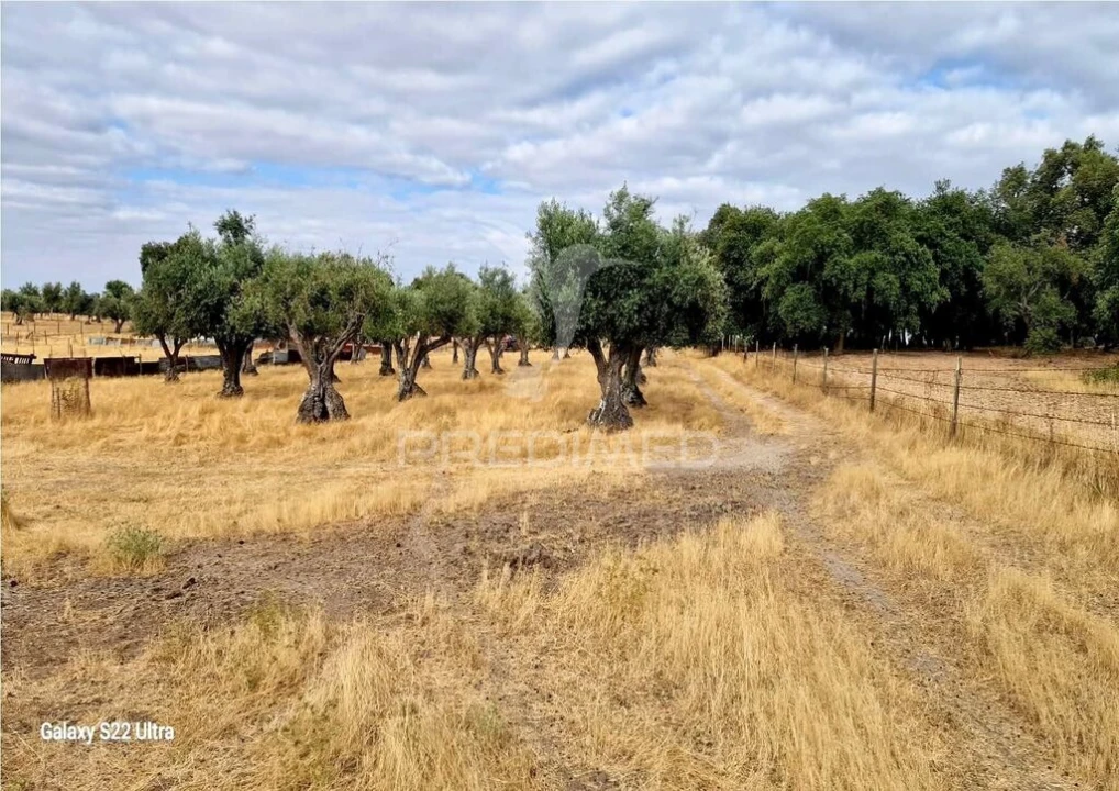 Terreno para Venda em Torrão Foto 14