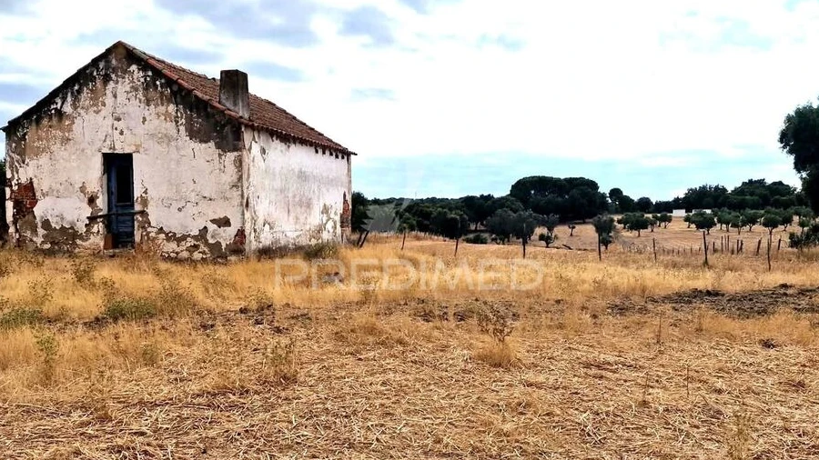 Terreno para Venda em Torrão