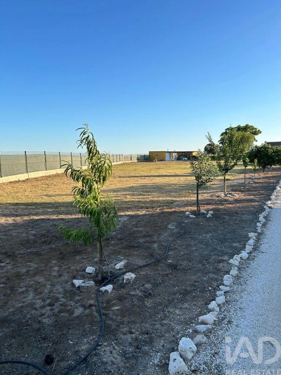 Quinta T2 para Venda em Benfica do Ribatejo Foto 5