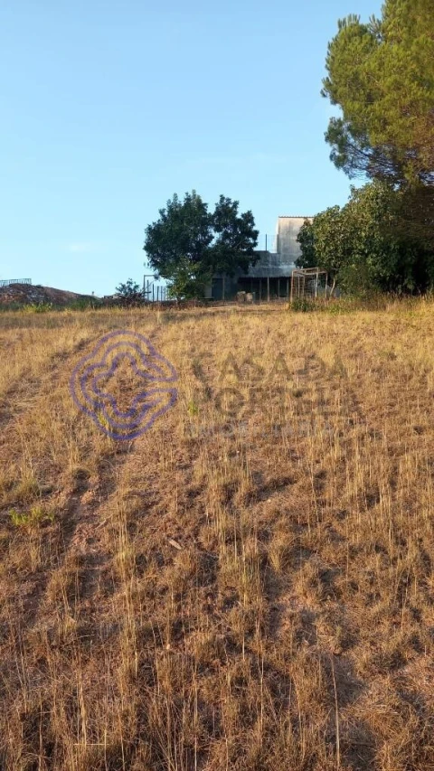 Moradia T3 para Venda em Vidais