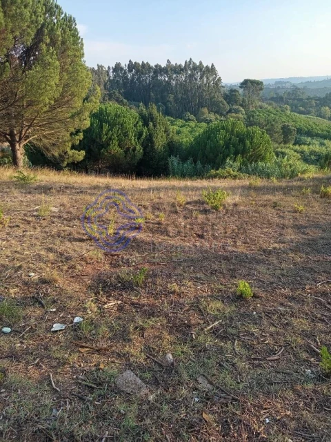 Moradia T3 para Venda em Vidais