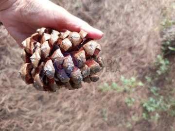 Moradia T3 para Venda em Vidais