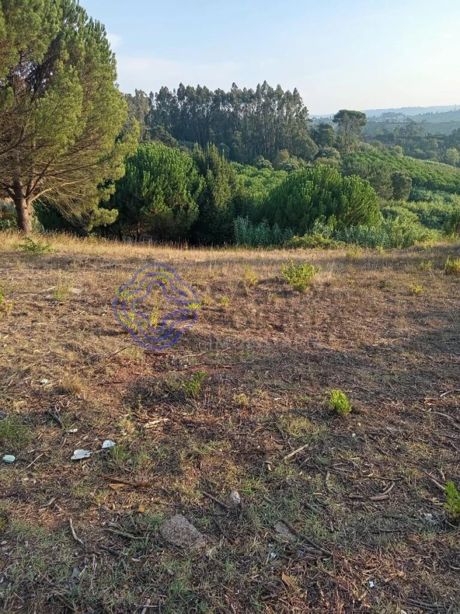 Moradia T3 para Venda em Vidais Foto 37