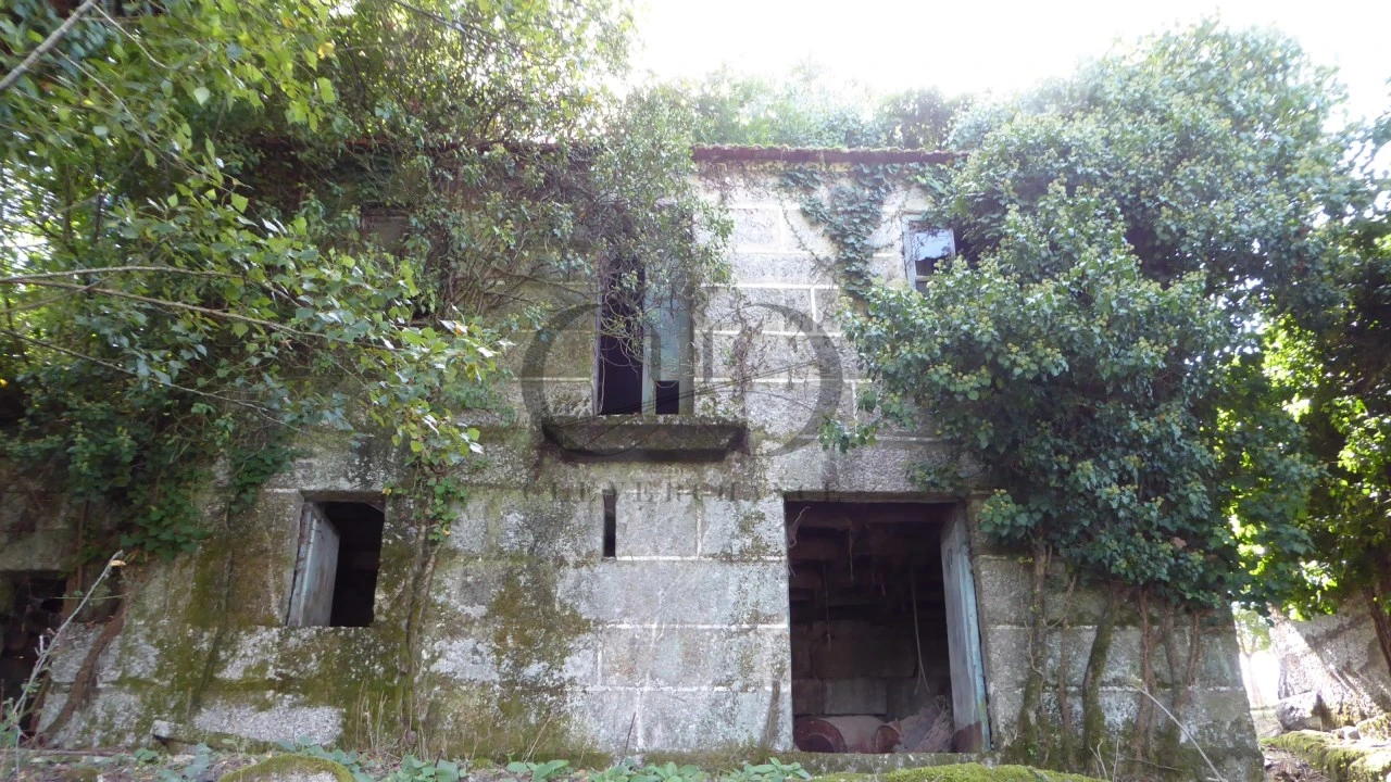 Quinta T6 para Venda em Várzea, Aliviada e Folhada Foto 9