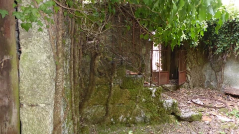 Quinta T6 para Venda em Várzea, Aliviada e Folhada